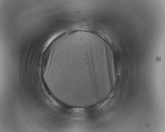 X0000090700052200708171854