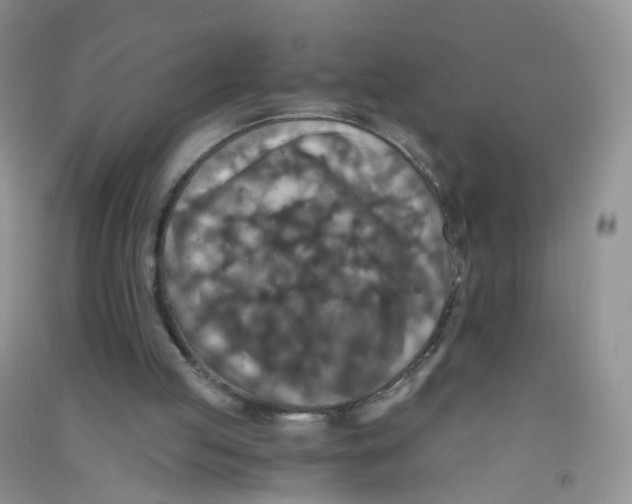 X0000090700053200708171854