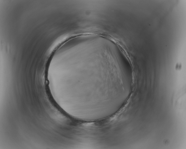 X0000090700054200708171854