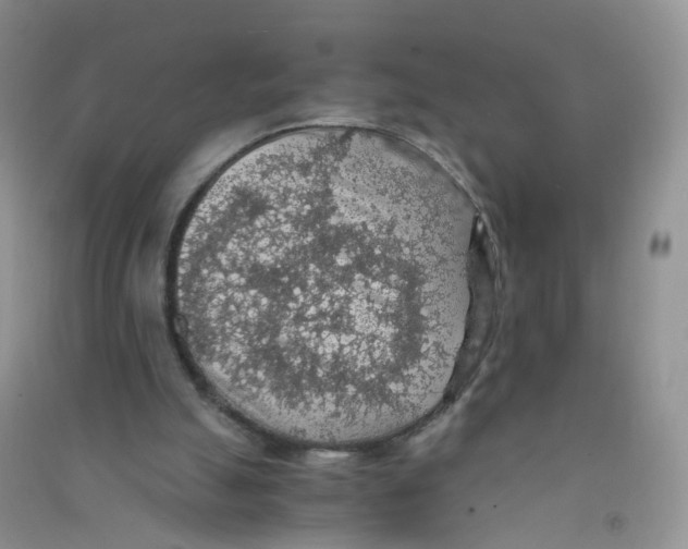 X0000090700055200708171854