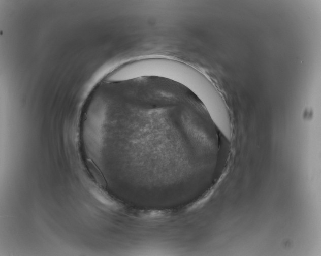 X0000090700056200708171854