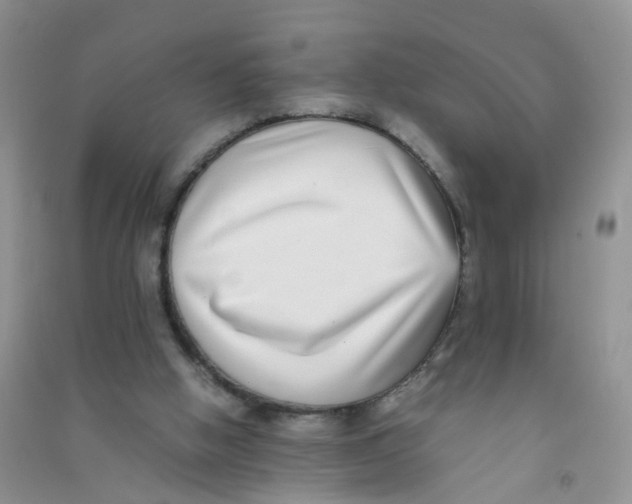 X0000090700058200708171854