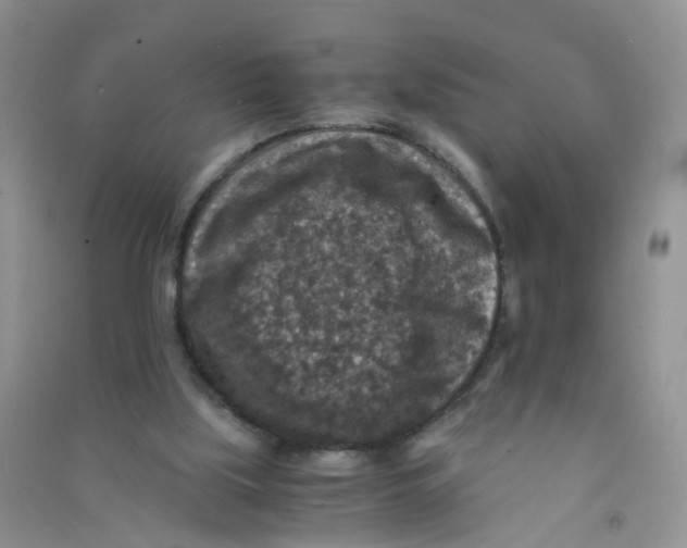 X0000090700059200708171854