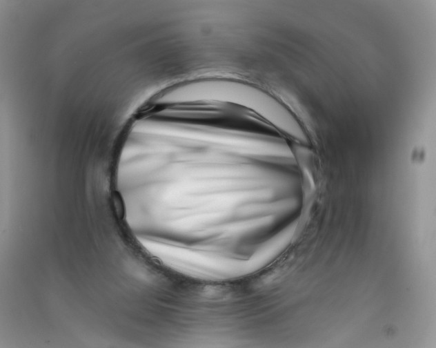 X0000090700060200708171854