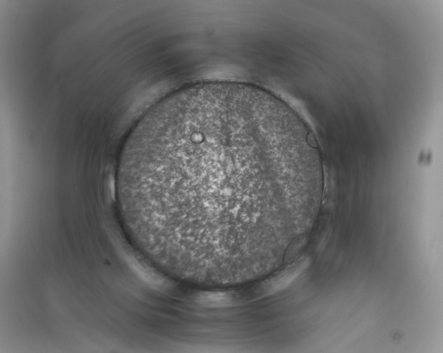 X0000090700061200708171854