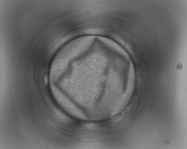 X0000090700062200708171854