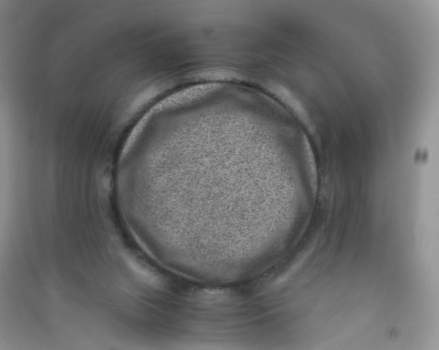 X0000090700063200708171854