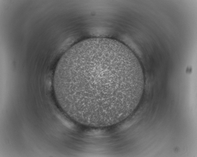 X0000090700065200708171854