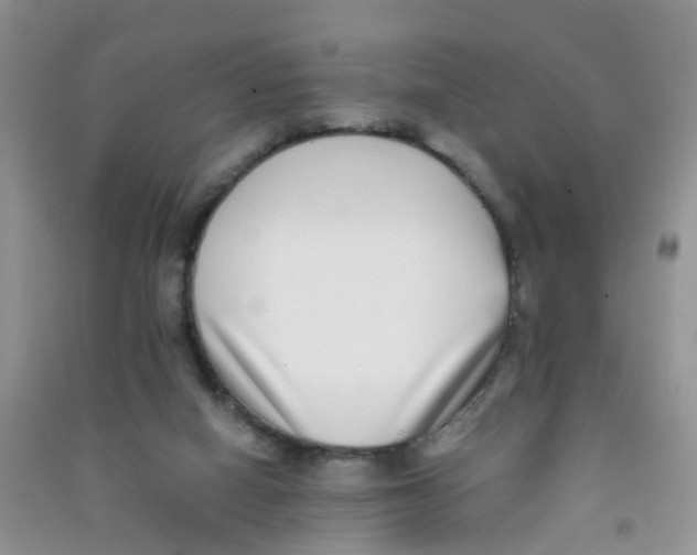 X0000090700066200708171855