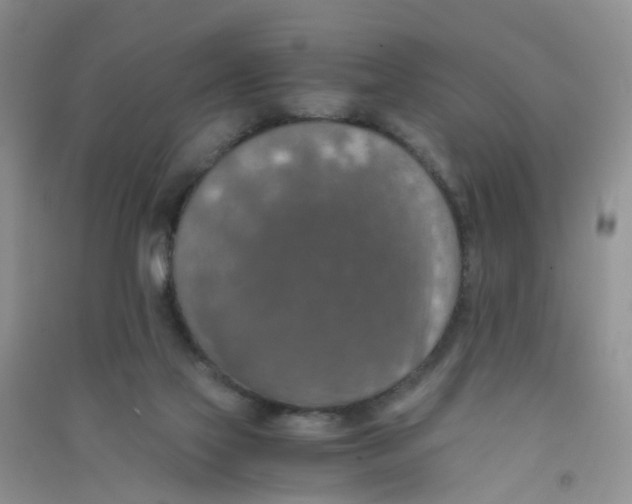 X0000090700069200708171855