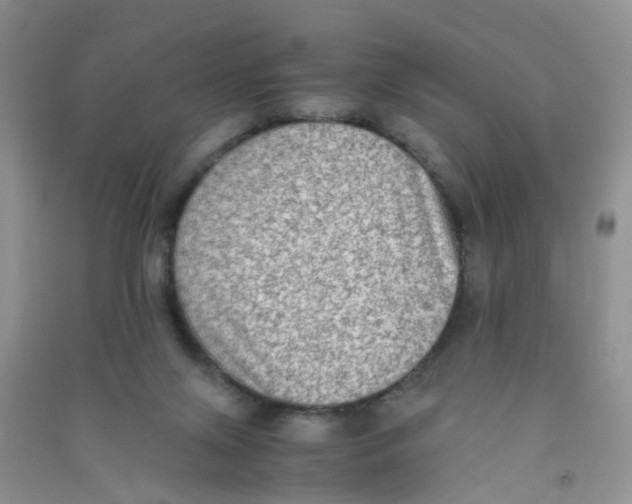 X0000090700071200708171855