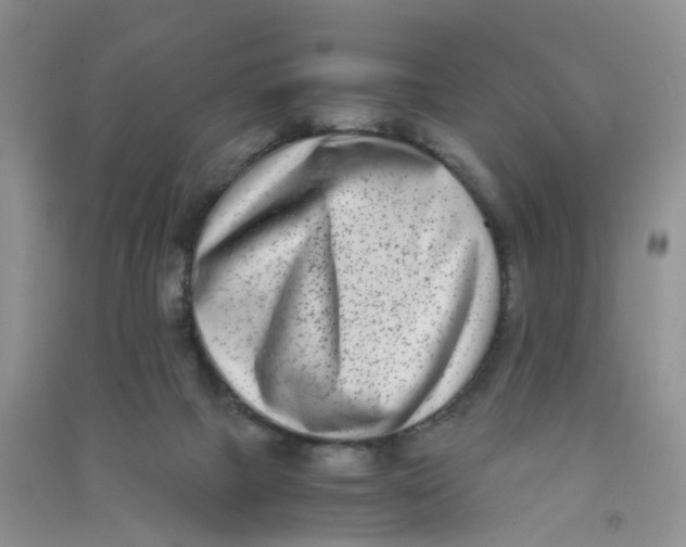 X0000090700073200708171855