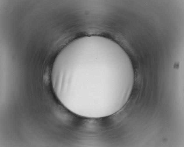 X0000090700074200708171855