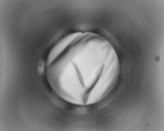 X0000090700075200708171855