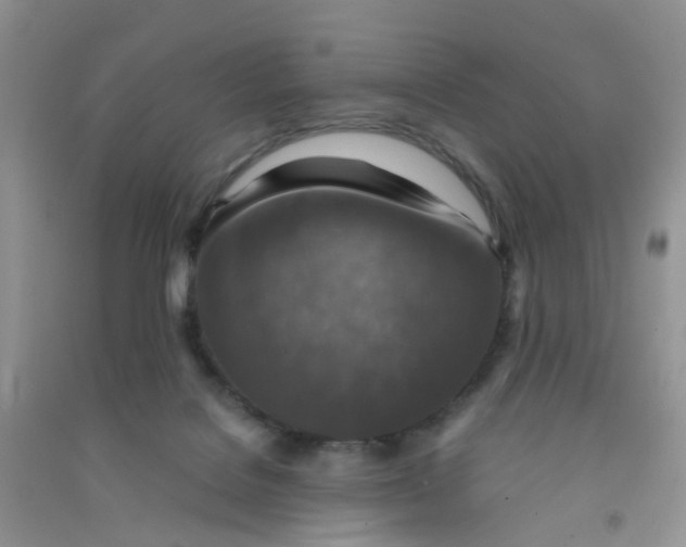 X0000090700076200708171855