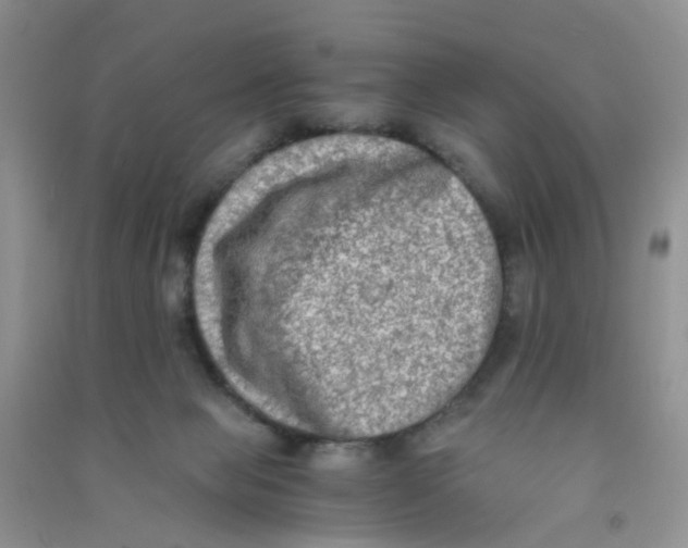 X0000090700077200708171855