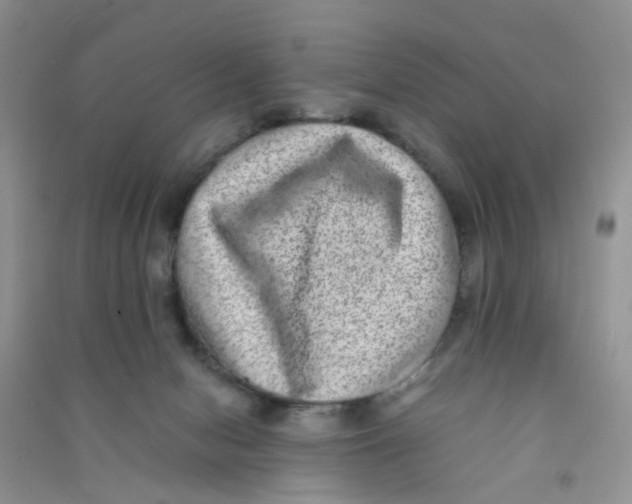 X0000090700078200708171855