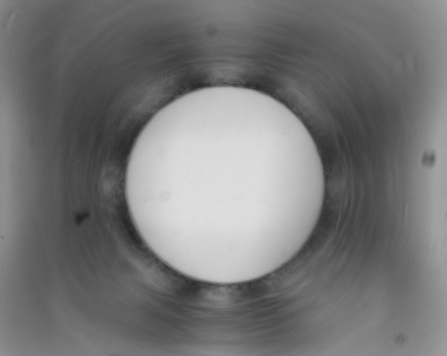 X0000090700079200708171855