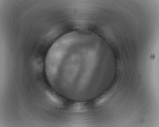 X0000090700080200708171855