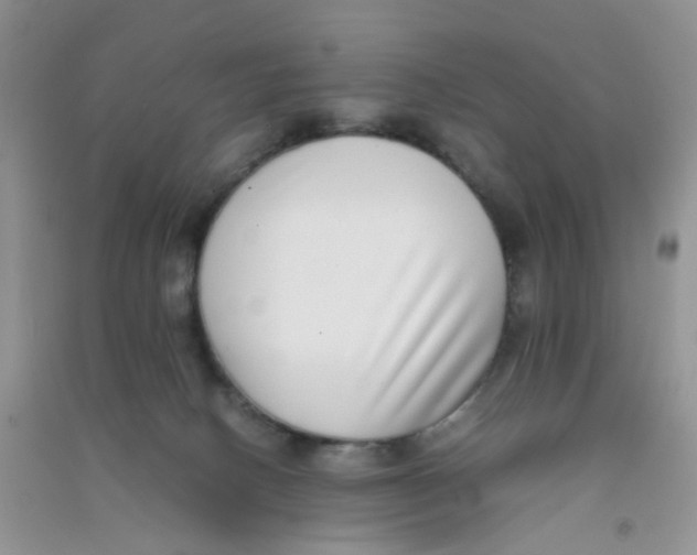 X0000090700082200708171855