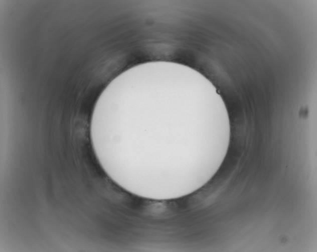 X0000090700083200708171855