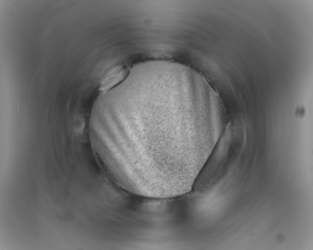 X0000090700084200708171855