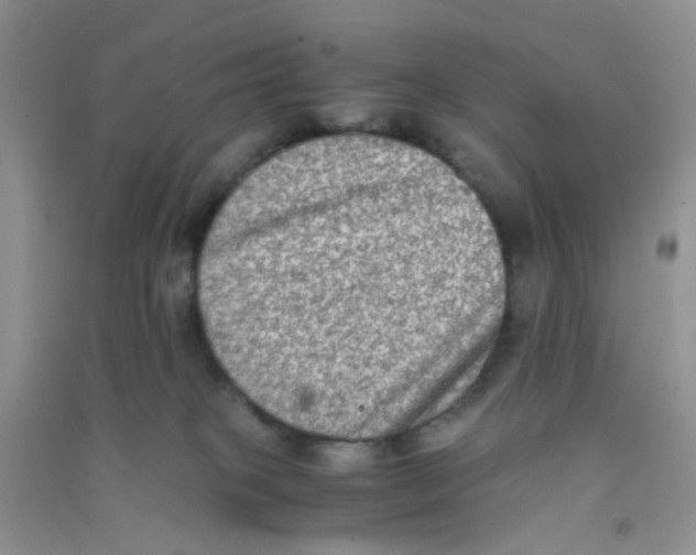 X0000090700085200708171855