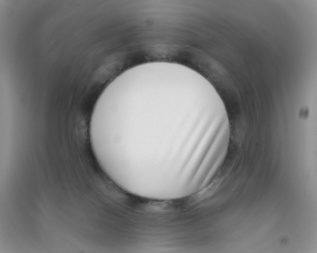 X0000090700086200708171855