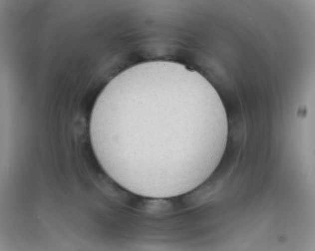 X0000090700087200708171855