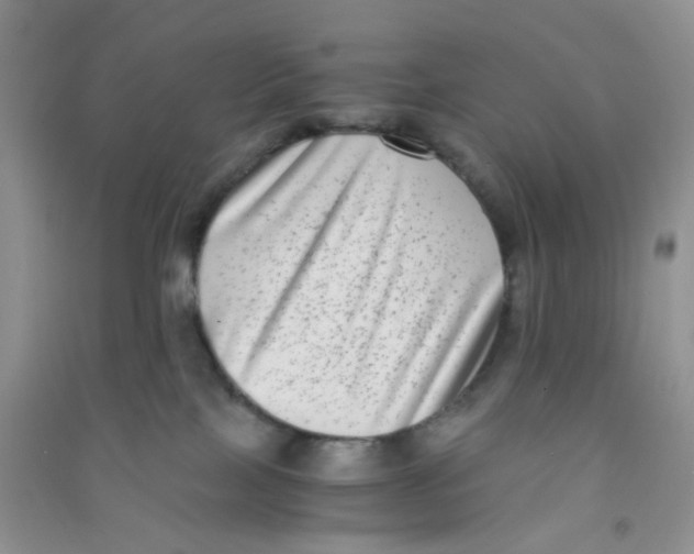 X0000090700089200708171855