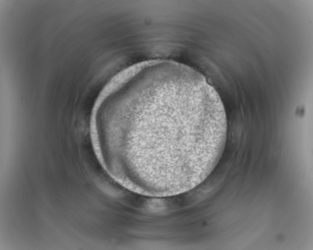 X0000090700091200708171855