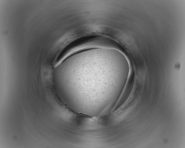 X0000090700092200708171855