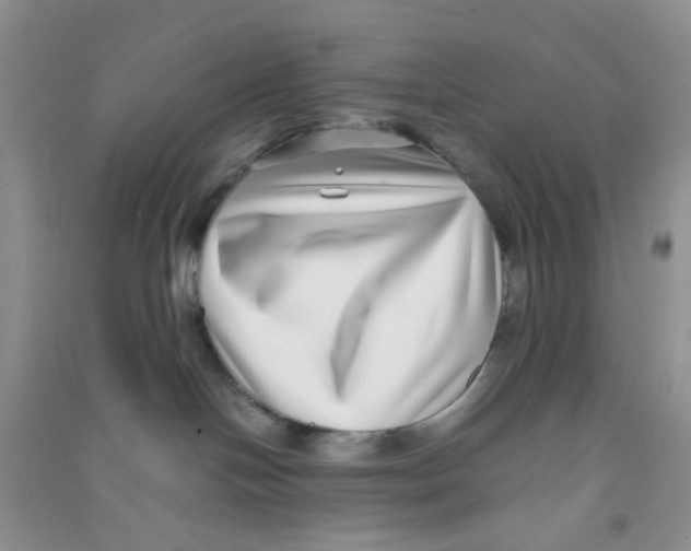 X0000090700094200708171855