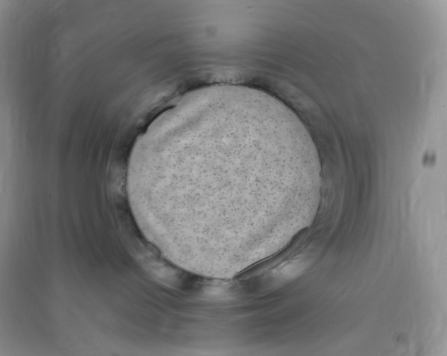 X0000090700096200708171855