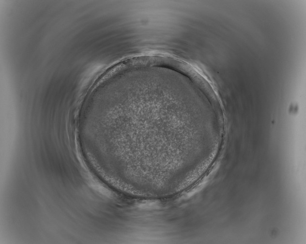 X0000090700097200708171854