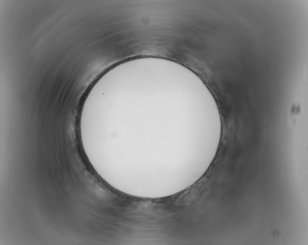 X0000090700098200708171854