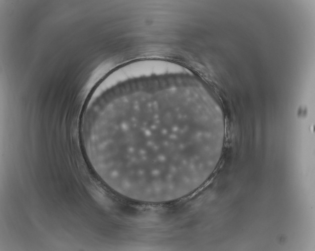 X0000090700099200708171854