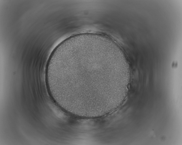 X0000090700100200708171854