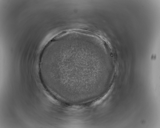 X0000090700101200708171854