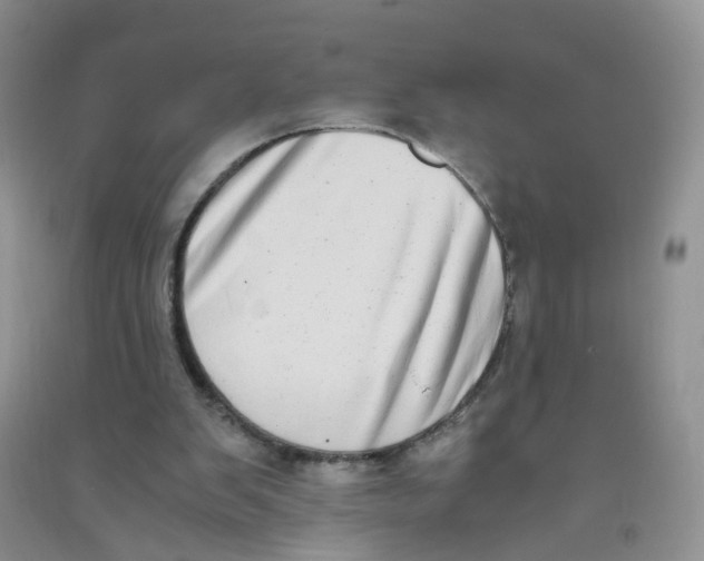 X0000090700103200708171854