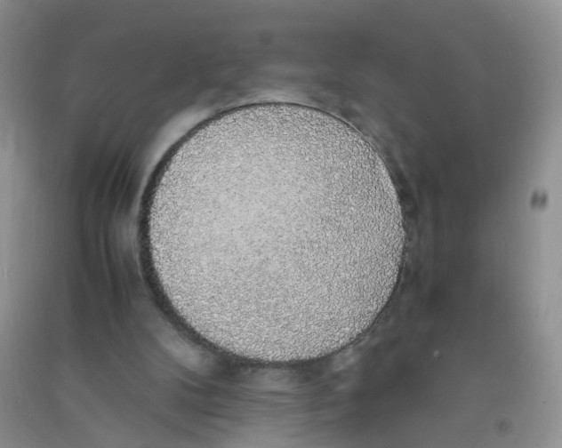 X0000090700104200708171854