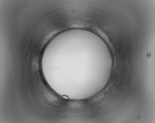 X0000090700106200708171854