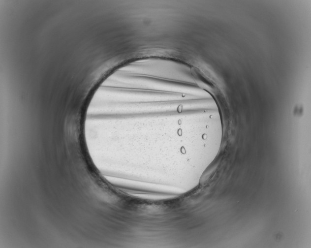 X0000090700107200708171854