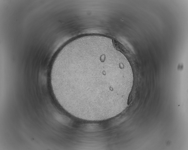 X0000090700108200708171854