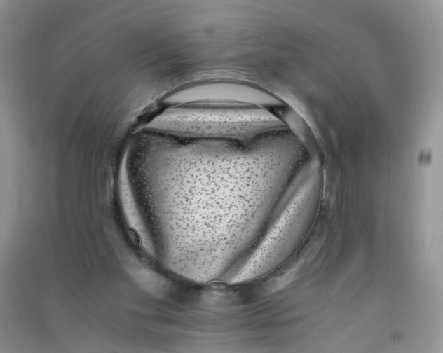 X0000090700109200708171854