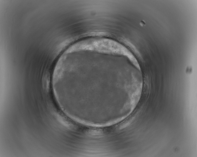 X0000090700110200708171854