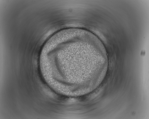 X0000090700111200708171854