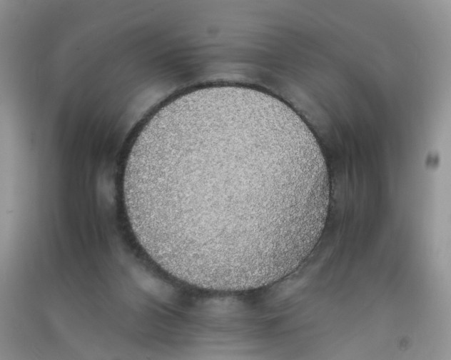 X0000090700112200708171854