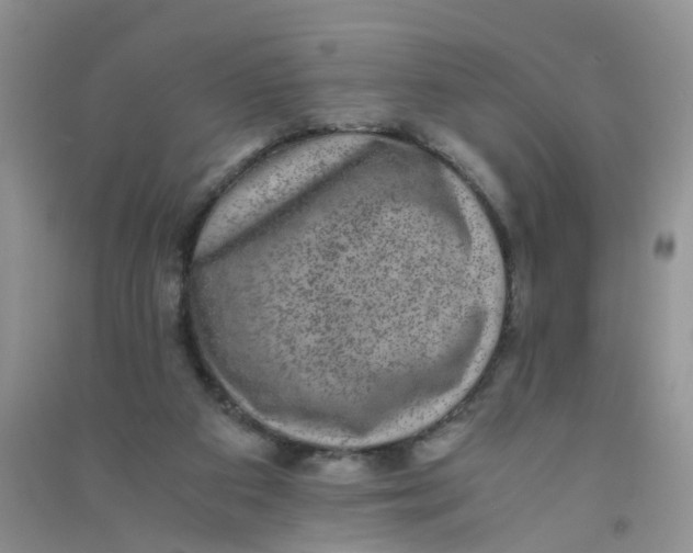 X0000090700113200708171854