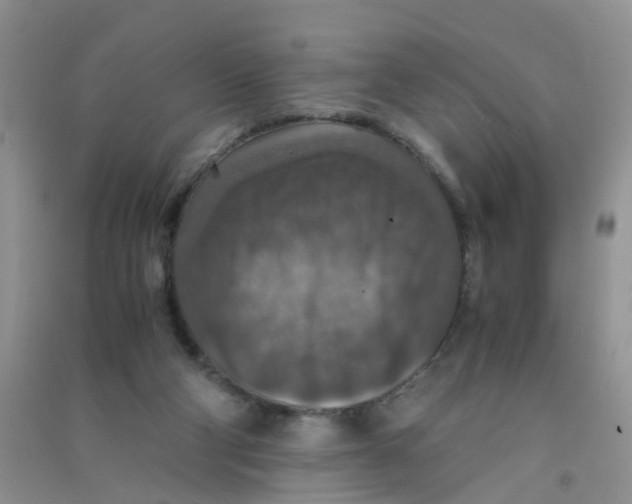 X0000090700114200708171854